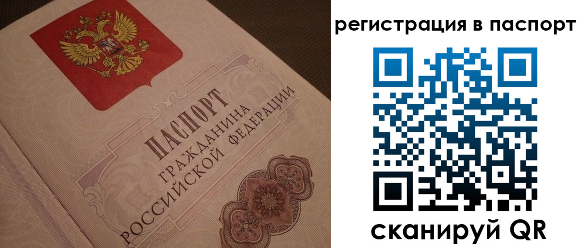 временная регистрация надежно в Петропавловске-Камчатском